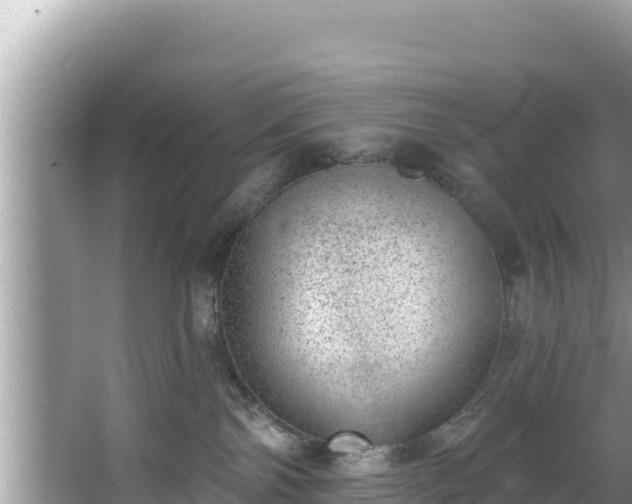 X0000067900138200604171413