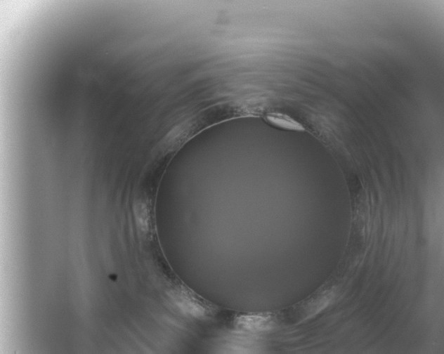 X0000067900139200604171413