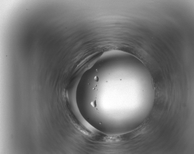 X0000067900141200604171413