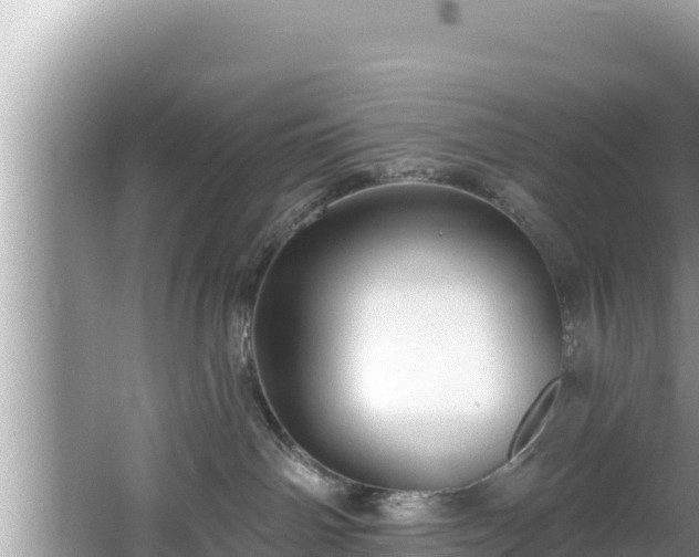 X0000067900142200604171413