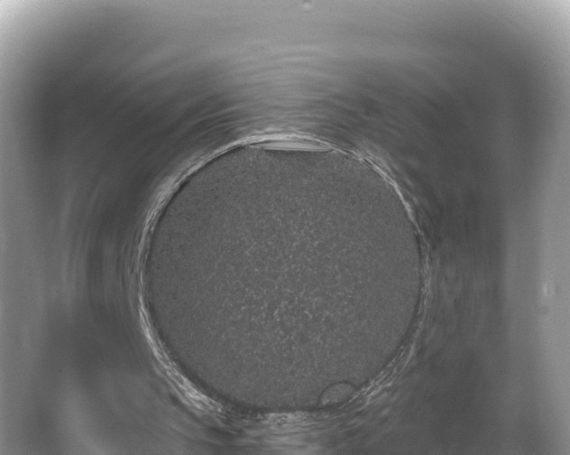 X0000067900145200604171412