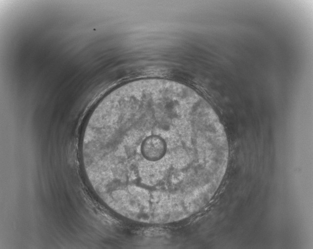 X0000067900146200604171412