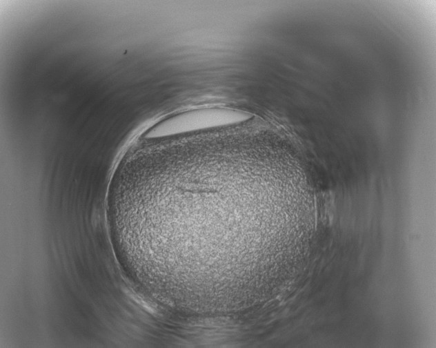 X0000067900147200604171412