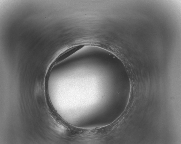 X0000067900148200604171412