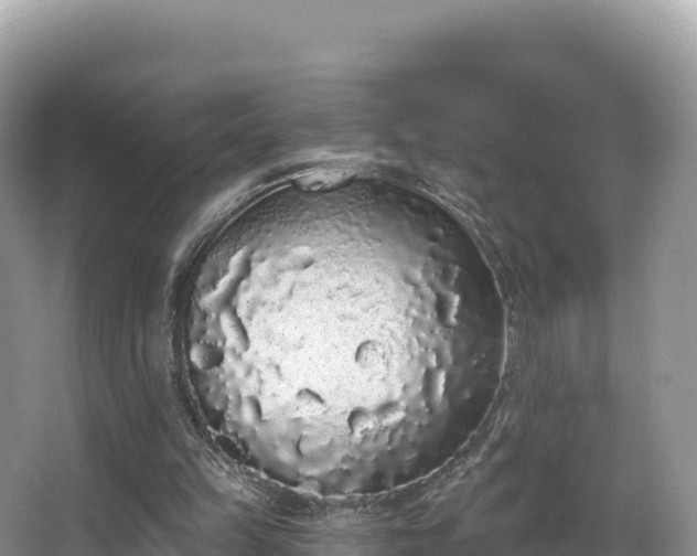 X0000067900149200604171412