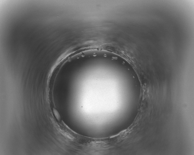 X0000067900150200604171412