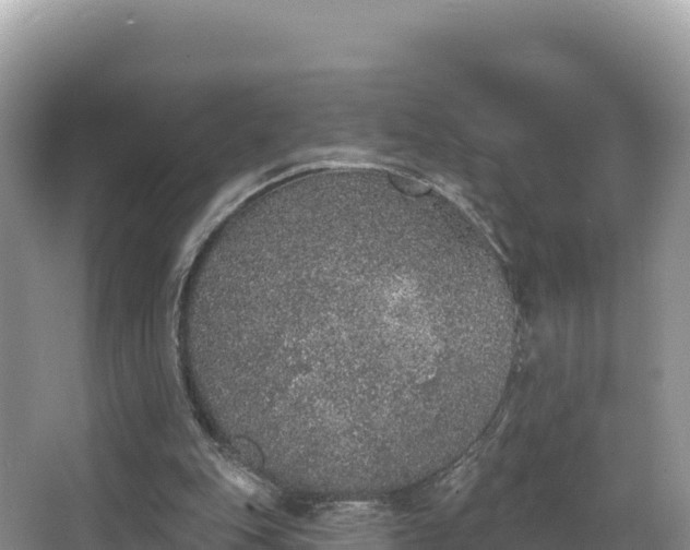 X0000067900151200604171412