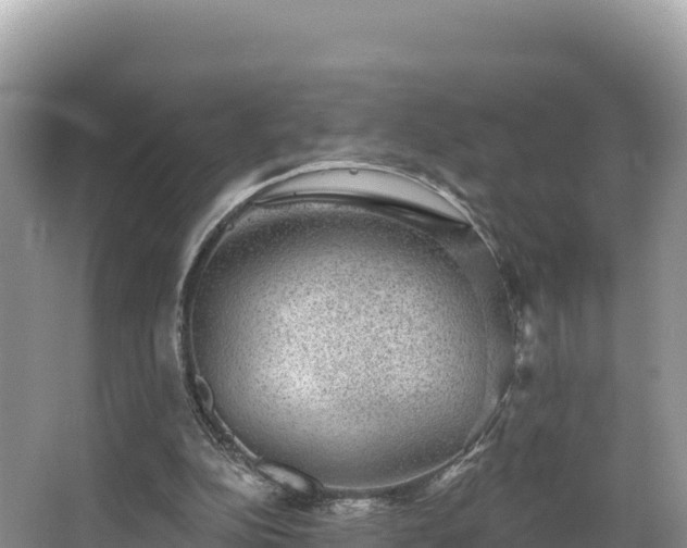 X0000067900152200604171412