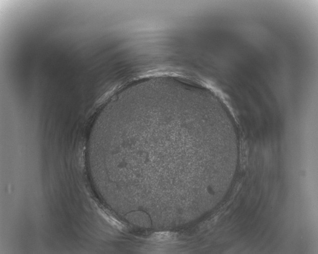 X0000067900153200604171412