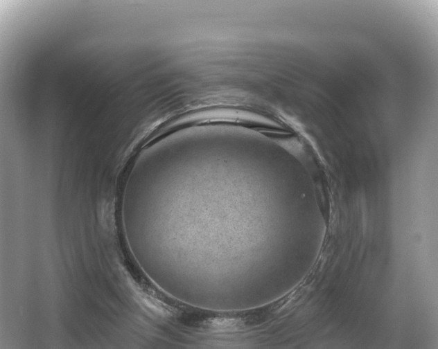 X0000067900154200604171412