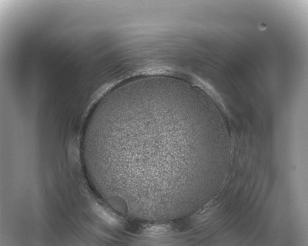 X0000067900155200604171412