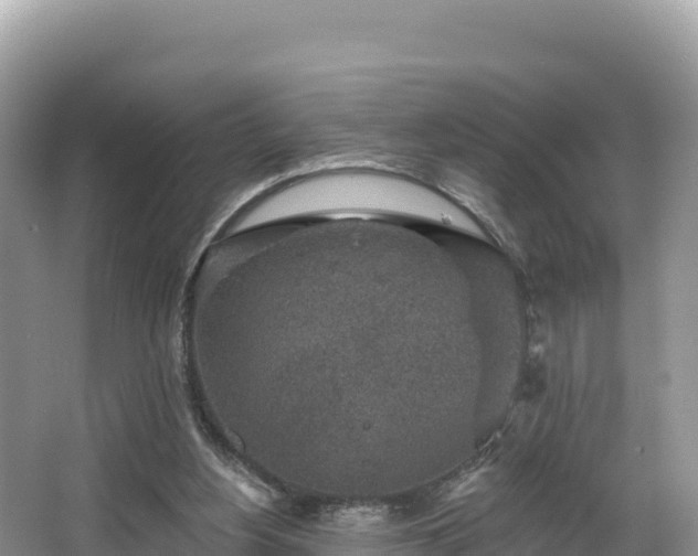 X0000067900156200604171412