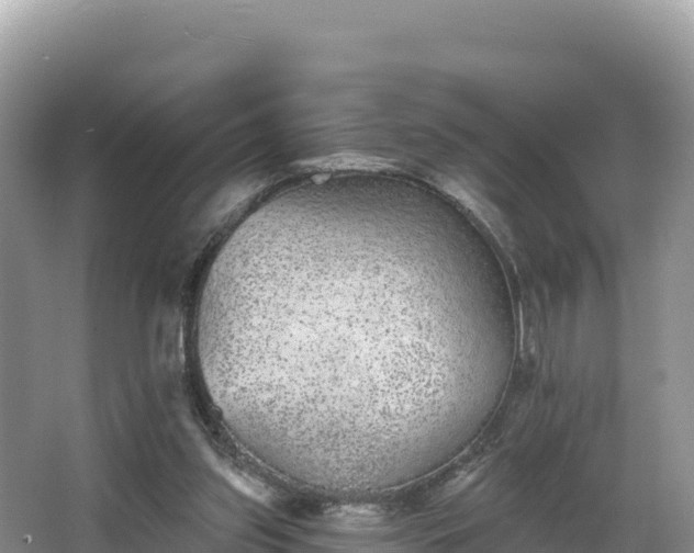 X0000067900157200604171412