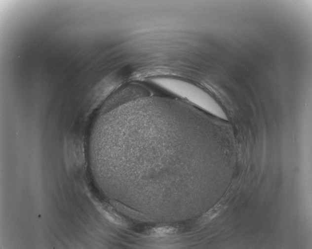 X0000067900158200604171412