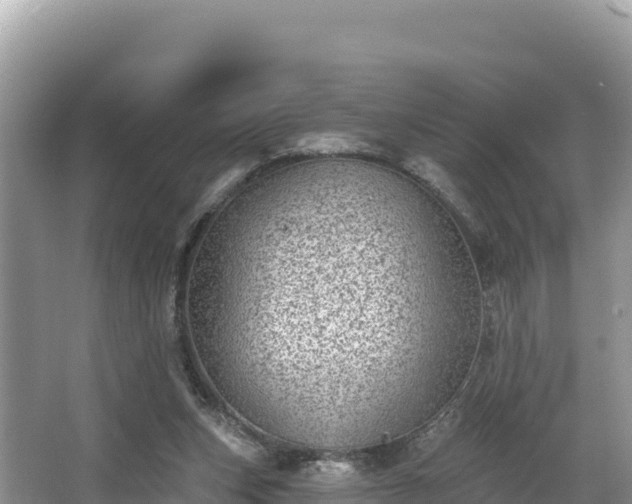 X0000067900159200604171412