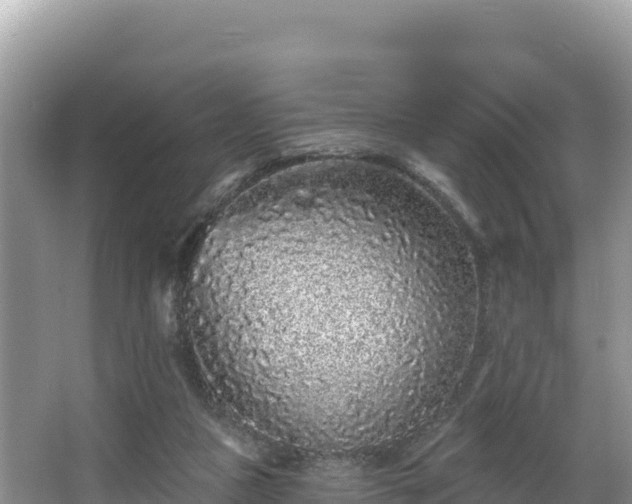 X0000067900161200604171412