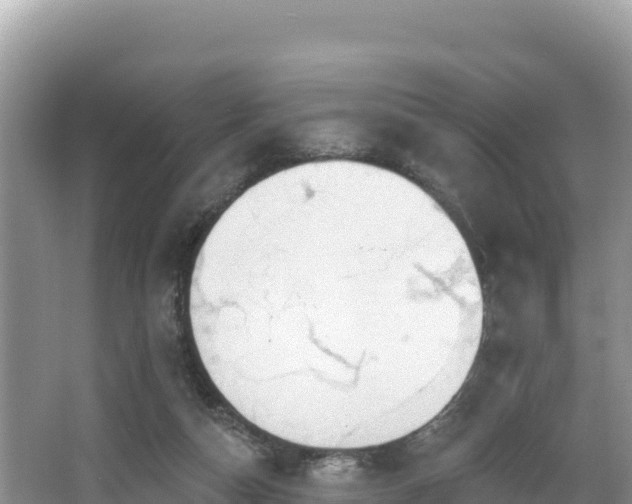 X0000067900162200604171412