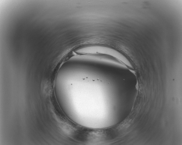 X0000067900164200604171412