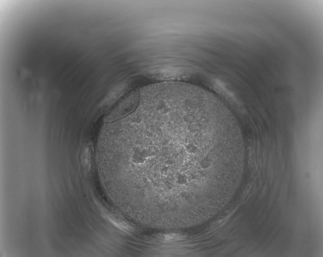 X0000067900165200604171412