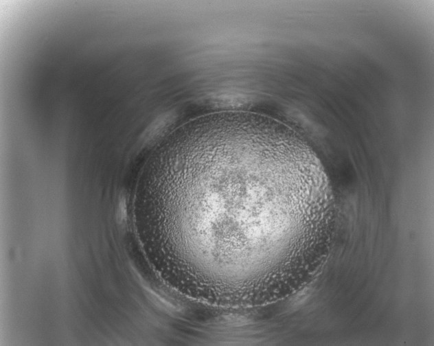 X0000067900166200604171412