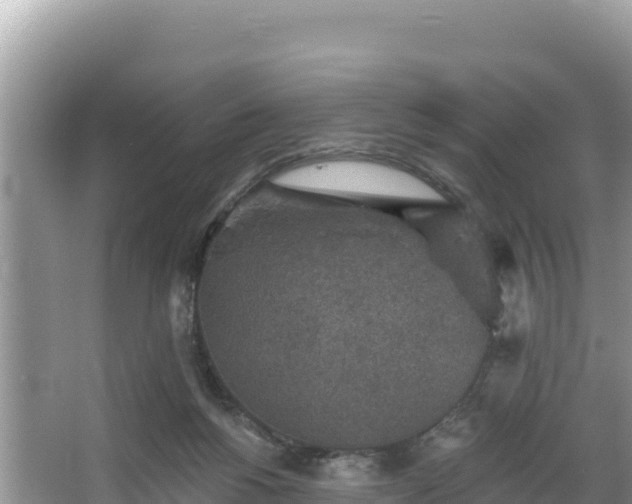 X0000067900168200604171412