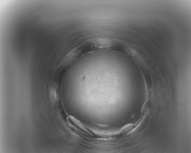 X0000067900170200604171412