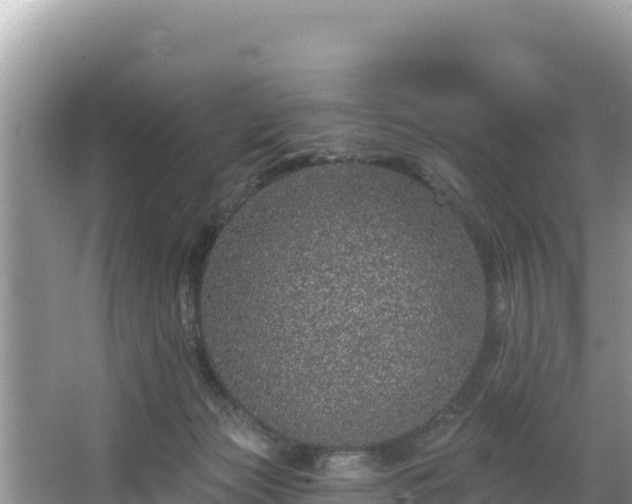 X0000067900173200604171412