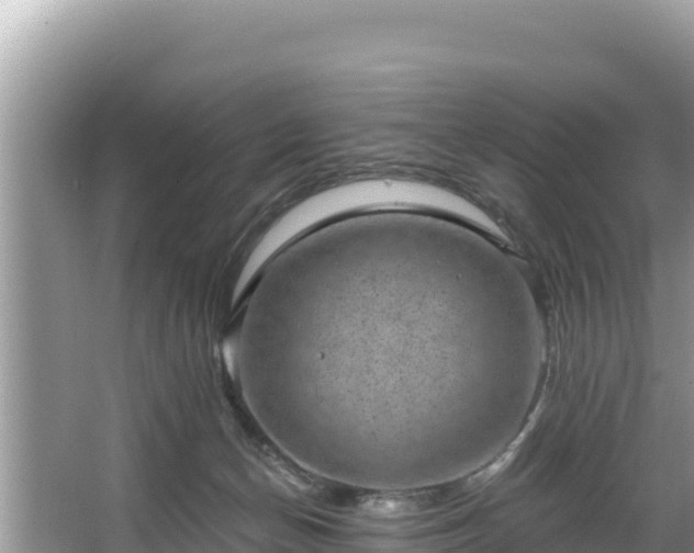 X0000067900174200604171412