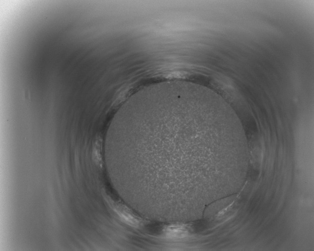 X0000067900175200604171412