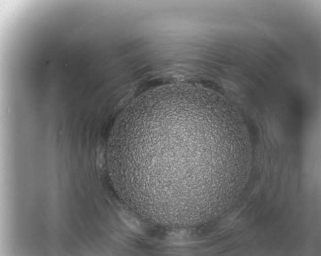 X0000067900177200604171412