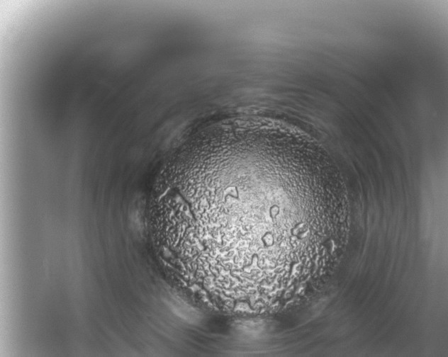 X0000067900181200604171412