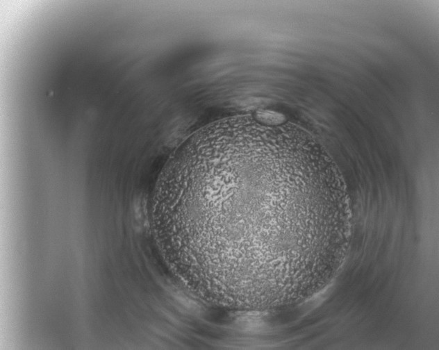 X0000067900182200604171412