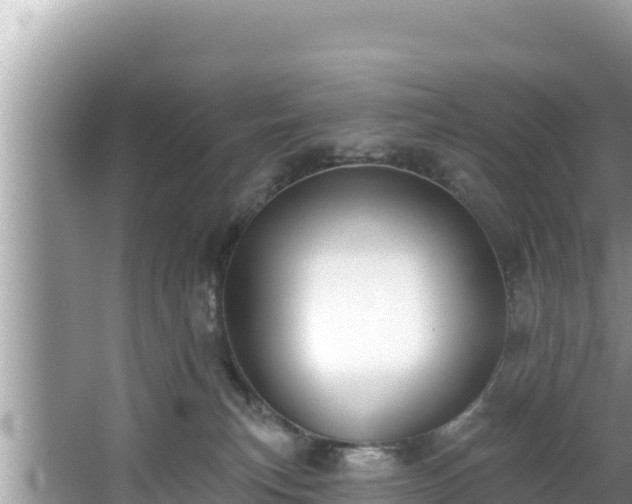 X0000067900183200604171412