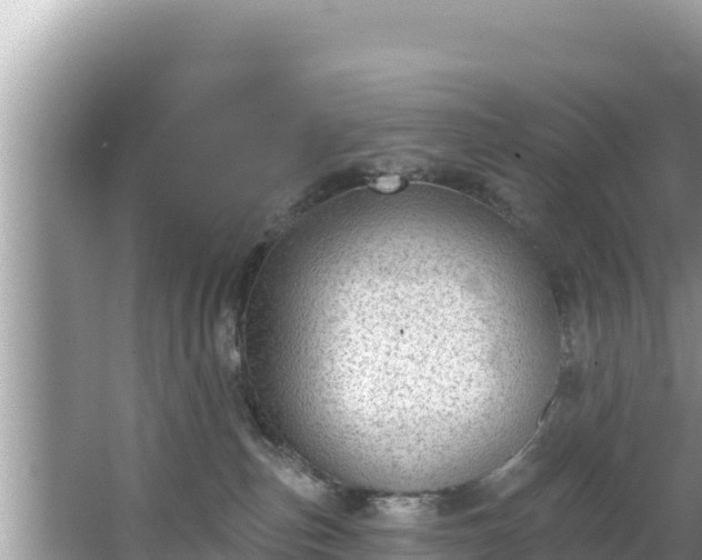 X0000067900187200604171412