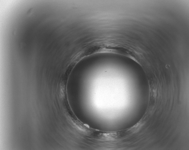 X0000067900188200604171412