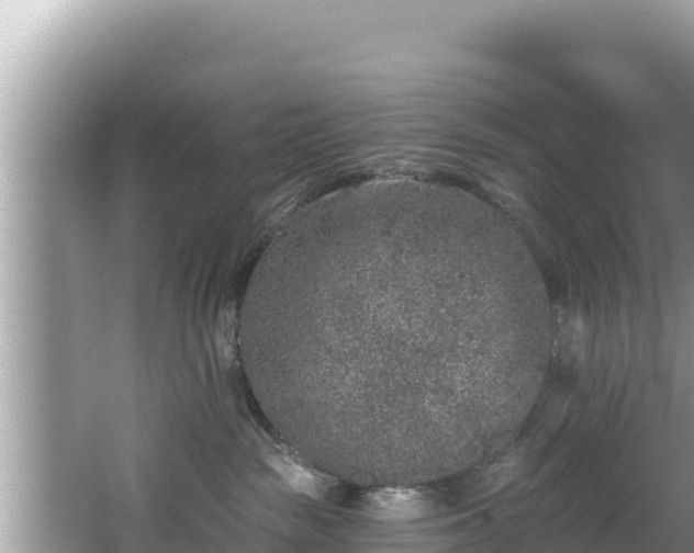 X0000067900189200604171412