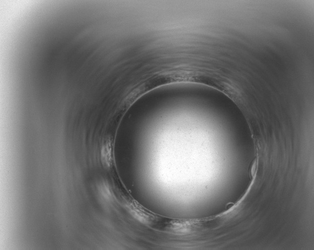 X0000067900190200604171412