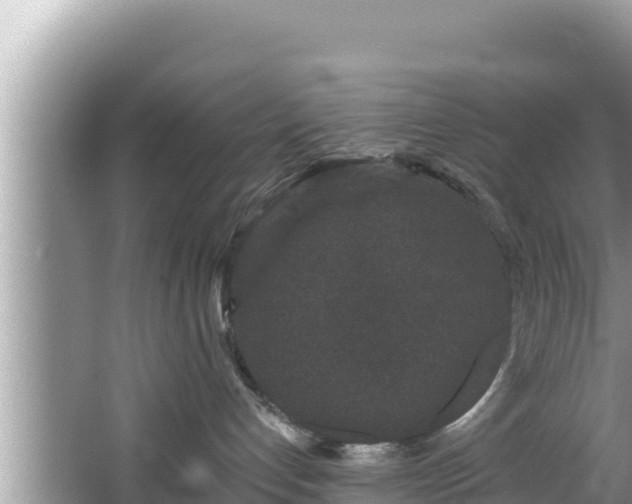 X0000067900192200604171412