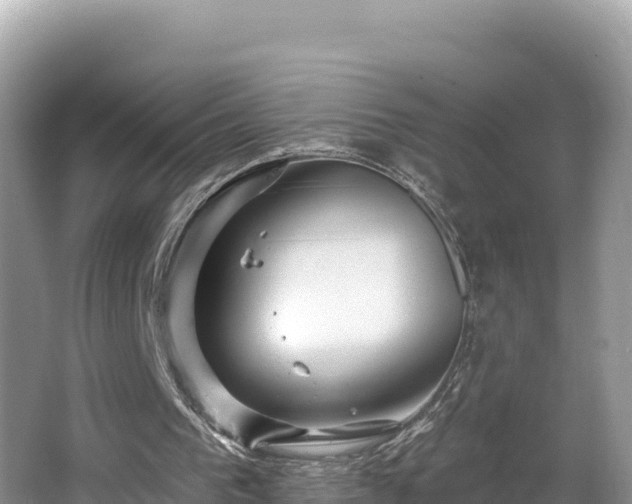 X0000067900193200604171412