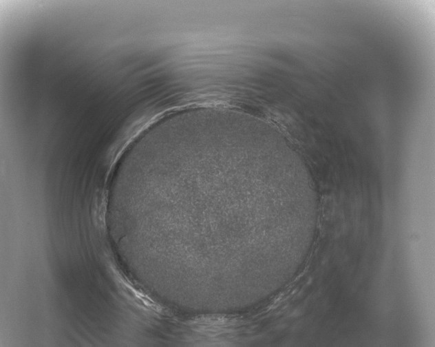 X0000067900194200604171412