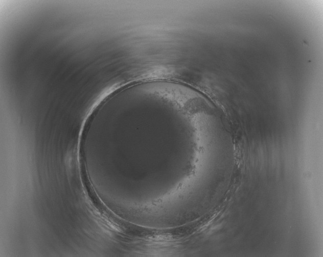 X0000067900196200604171412