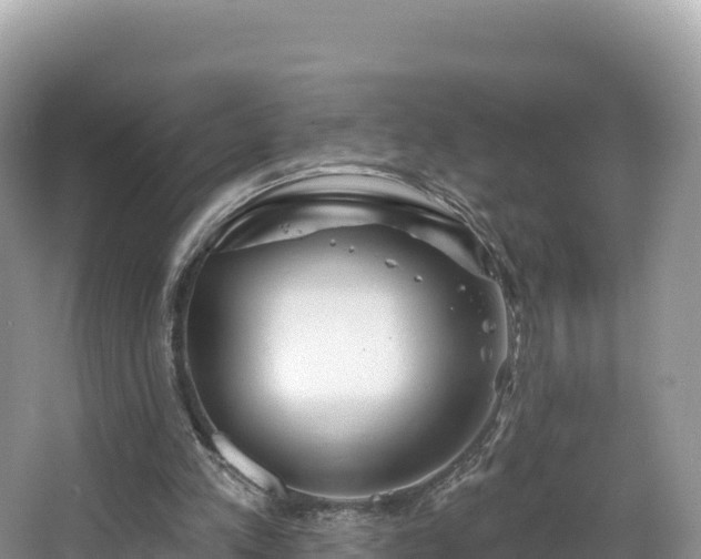 X0000067900197200604171412