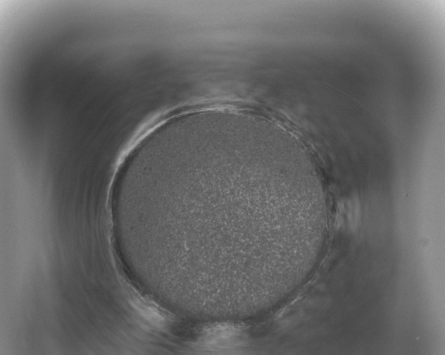 X0000067900198200604171412