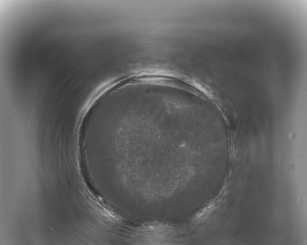 X0000067900199200604171412