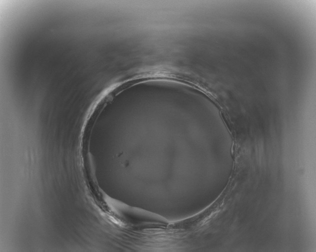 X0000067900200200604171412