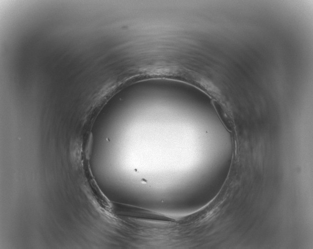 X0000067900201200604171412