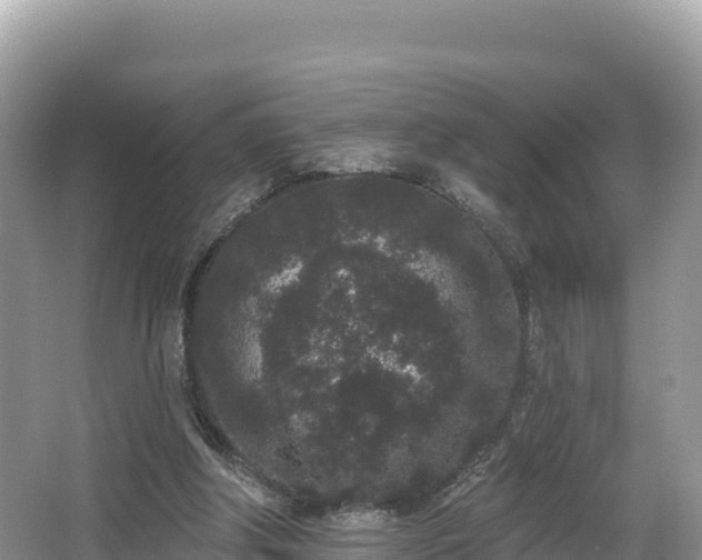 X0000067900202200604171412