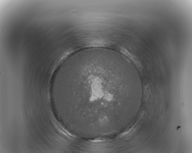 X0000067900203200604171412