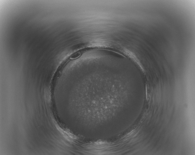 X0000067900204200604171411