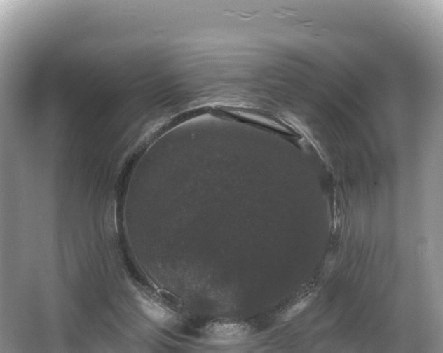 X0000067900205200604171411